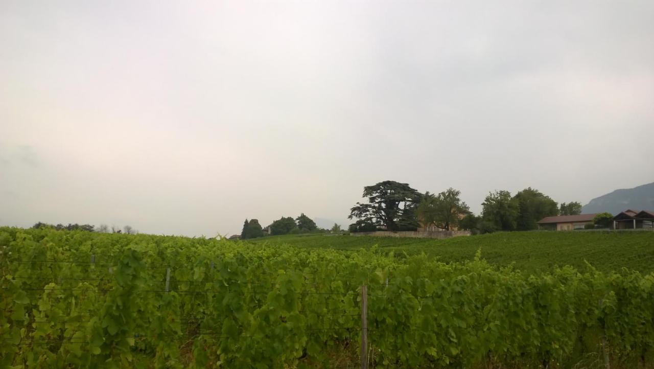 Chateau La Violette Les Marches Eksteriør billede